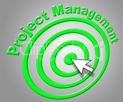 Project Management Shows Enterprise Projects And Administration