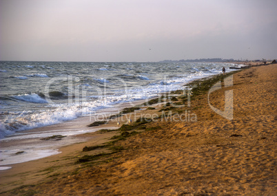 morning sea beach