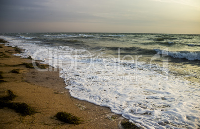 morning sea beach