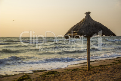 sunshade at the beach