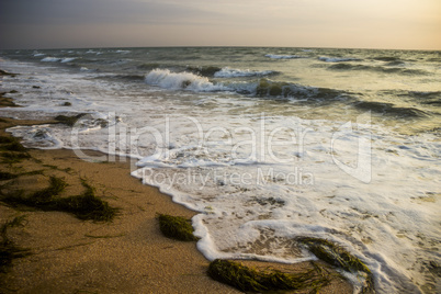 morning sea beach