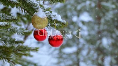 Christmas Balls on the Tree in the Forest and Snowfall