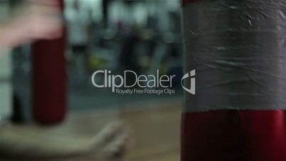 Training a boxer at the gym