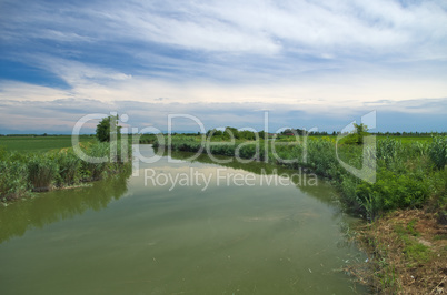 Summer view of a quiet river in the Venetian Plain