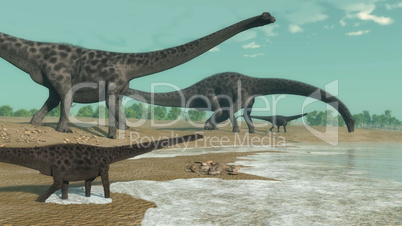 Diplodocus dinosaurs herd - 3D render