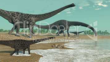 Diplodocus dinosaurs herd - 3D render