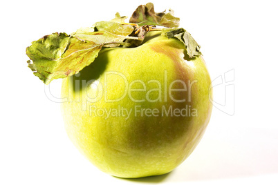 Fresh green apple