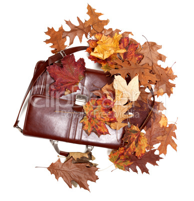 Brown leather briefcase and autumn dry leaves