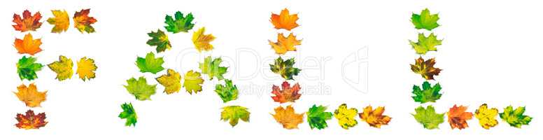 Letter F composed of autumn maple leafs
