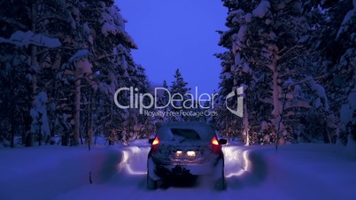 Car Driving on Night Road in Winter Forest