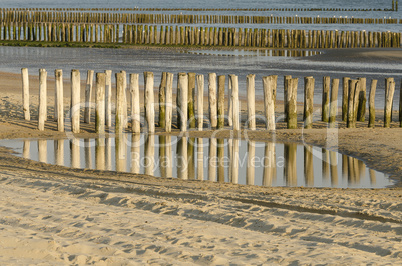 Rows groynes on the beach.