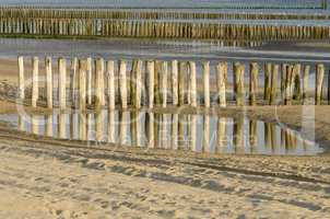 Rows groynes on the beach.