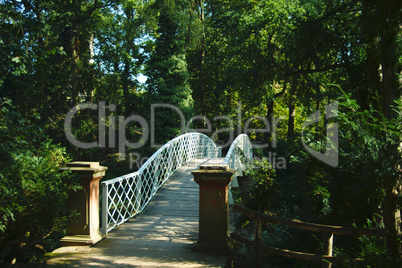 Brücke im Schönbusch