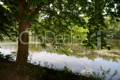 See am Jagdschloss Kranichstein