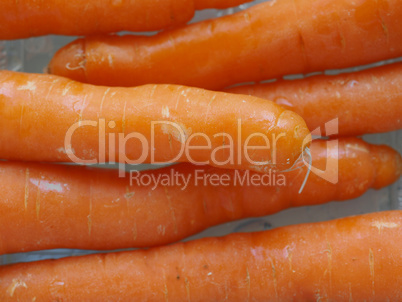 Orange carrots vegetables