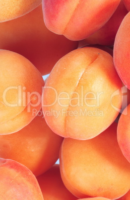 many orange peach at day