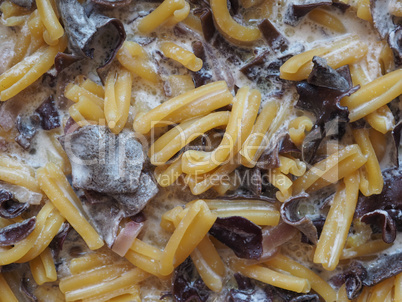 Paccheri pasta with mushrooms