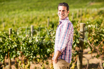 Portrait of male vintner standing with hands in pockets