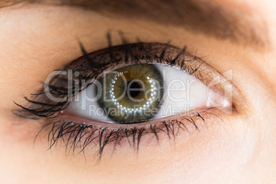 Beautiful woman eye against white background