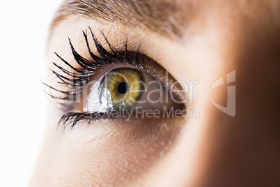 Beautiful woman eye against white background