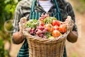 Mid section of farmer holding a basket of vegetables