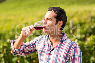 Male vintner having wine