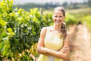 Portrait of female vintner standing with arms crossed