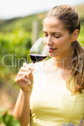 Female vintner smelling glass of wine