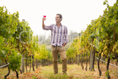 Smiling male vintner looking at glass of wine