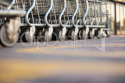 Shopping carts arranged in a row