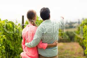 Couple standing in vineyard and pointing at nature