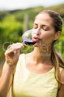 Female vintner having wine