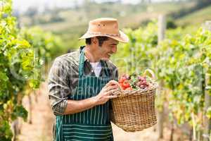 Happy farmer holding a basket of vegetables