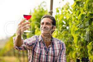 Smiling male vintner looking at glass of wine