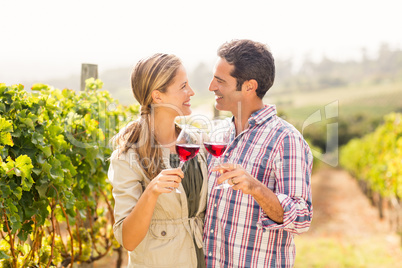 Happy couple toasting glasses of wine