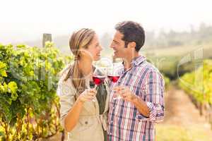 Happy couple toasting glasses of wine