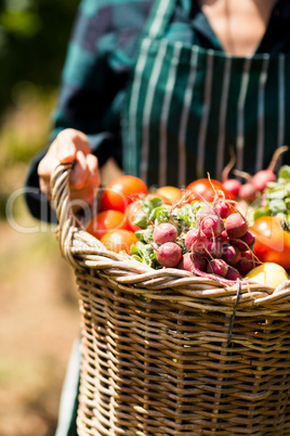 Mid section of female farmer holding a basket of vegetables