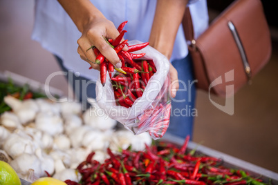 Woman buying red chilies