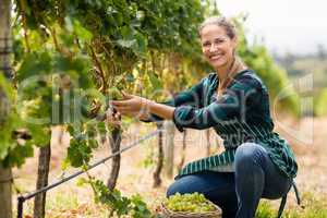 Young woman harvester working