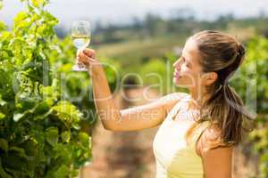 Female vintner holding wine glass