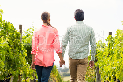 Couple walking through vineyard