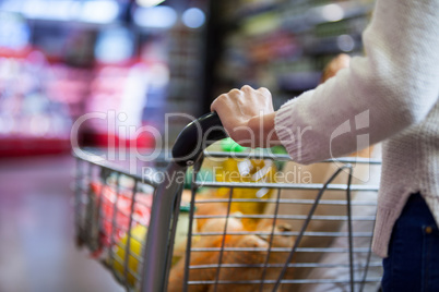 Woman holding groceries in shopping cart