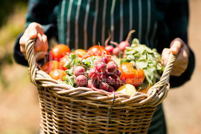 Mid section of female farmer holding a basket of vegetables