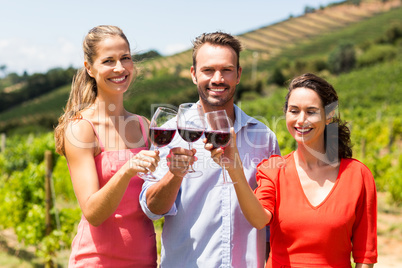 Portrait of happy friends toasting glasses of wine