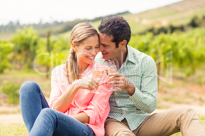 Happy couple toasting glasses of wine