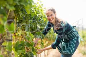 Young woman harvester working