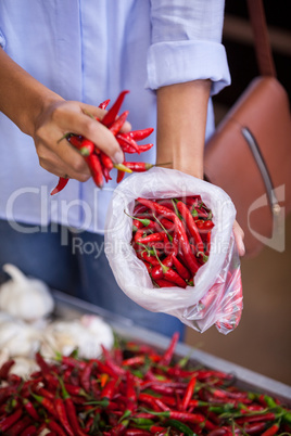 Woman buying red chilies