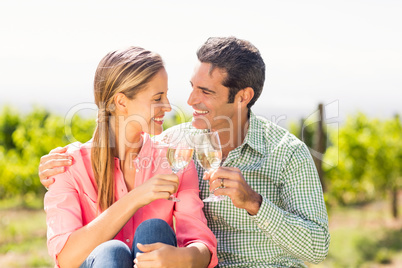 Happy couple toasting glasses of wine