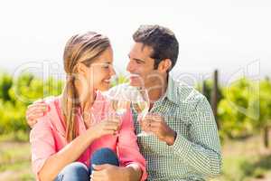 Happy couple toasting glasses of wine