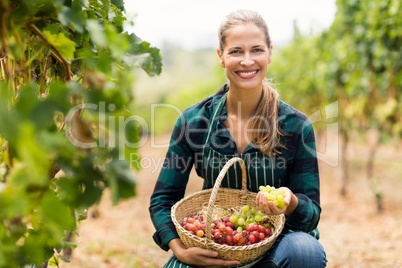 Happy female vintner holding a basket of grapes